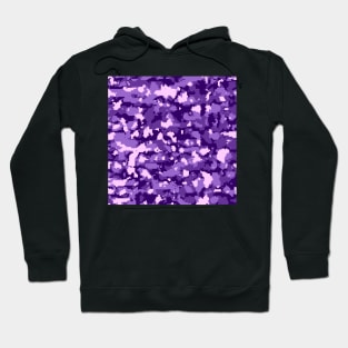 Purple Digital Camouflage Hoodie